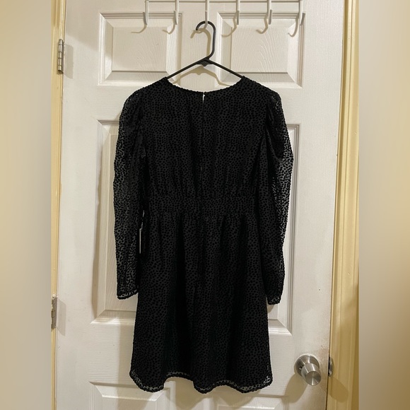 Express Dress - Picture 2 of 5